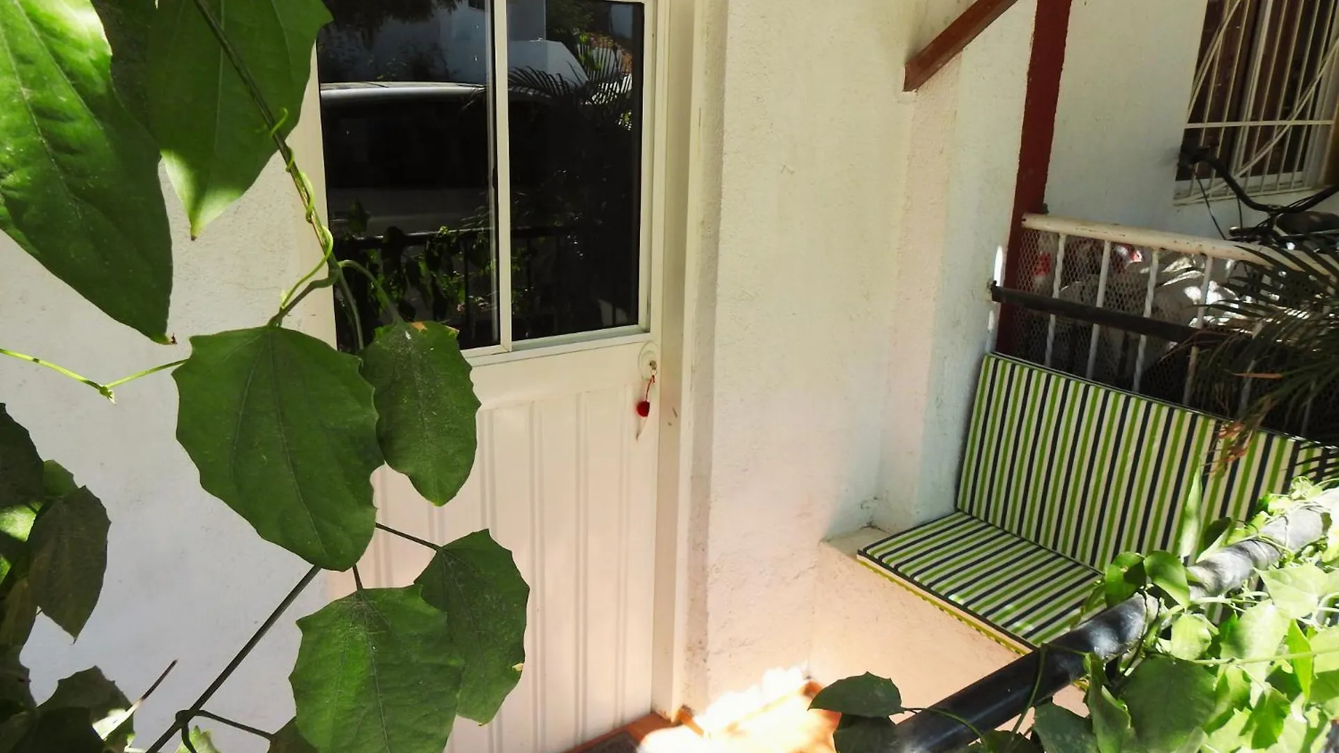公寓 Casa Del Mango, Une Pause Entre Deux Aventures 圣玛尔塔